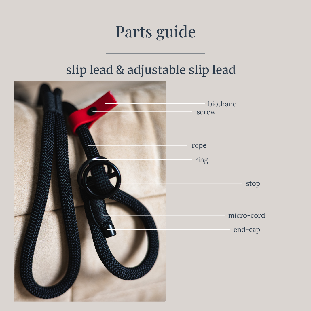 Slip lead