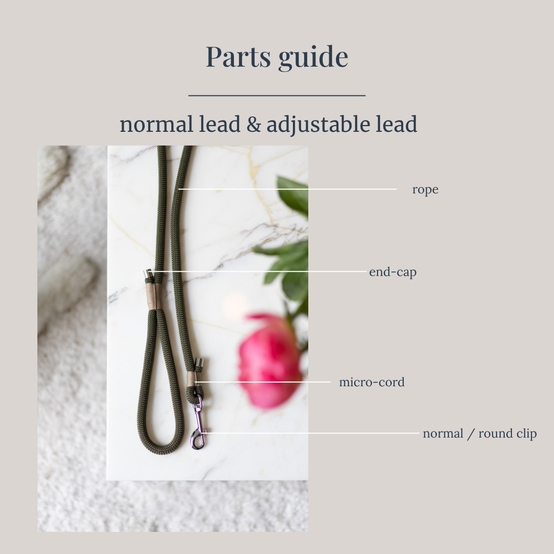 Normal lead